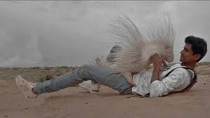 Abdul Rehman(Venom Boy) A Wildlife Warrior from Pakistan