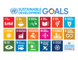 UN SDGs: Role of Pakistani Corporates